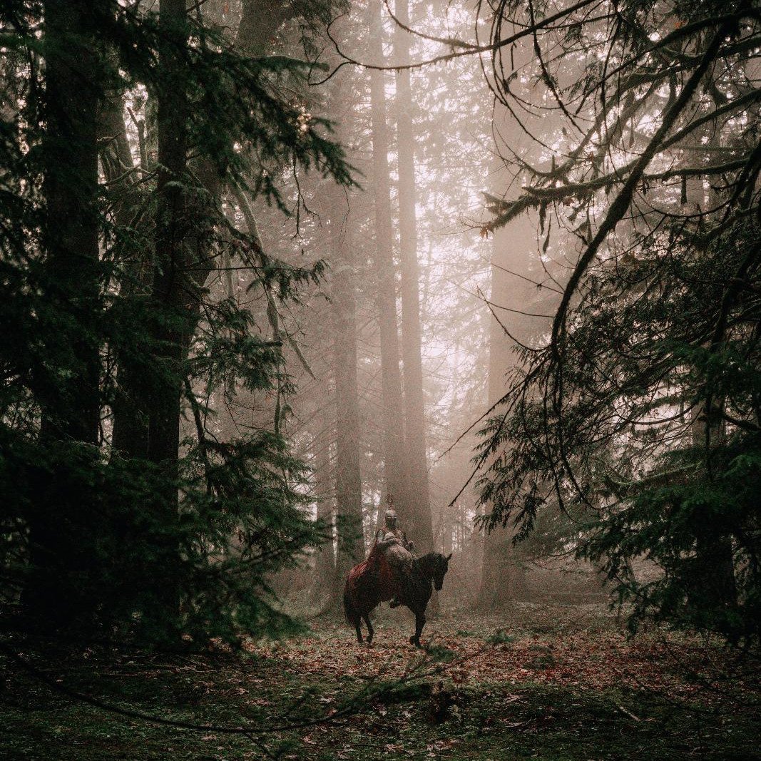 Photo d'un chevalier en foret sur le tournage du film The Stolen Child
